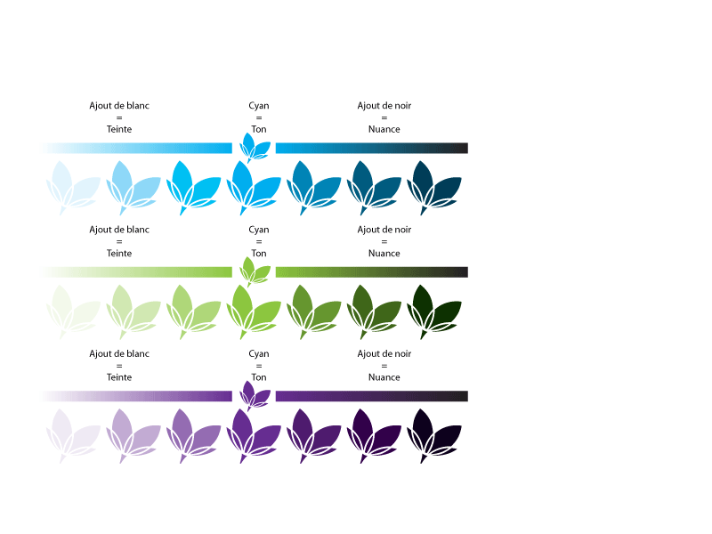 L’art de mélanger les couleurs 3